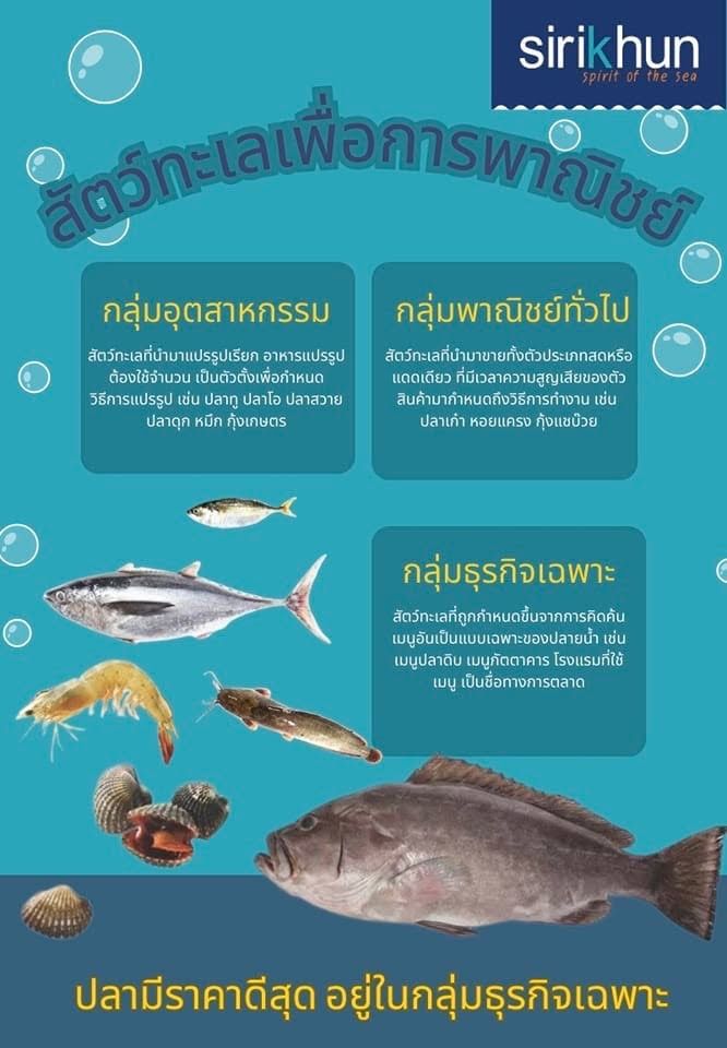 รูปภาพบทความ