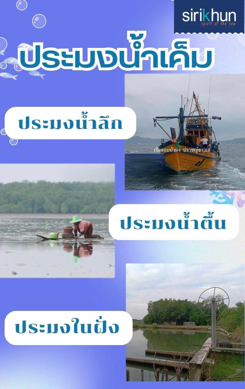 รูปภาพบทความ