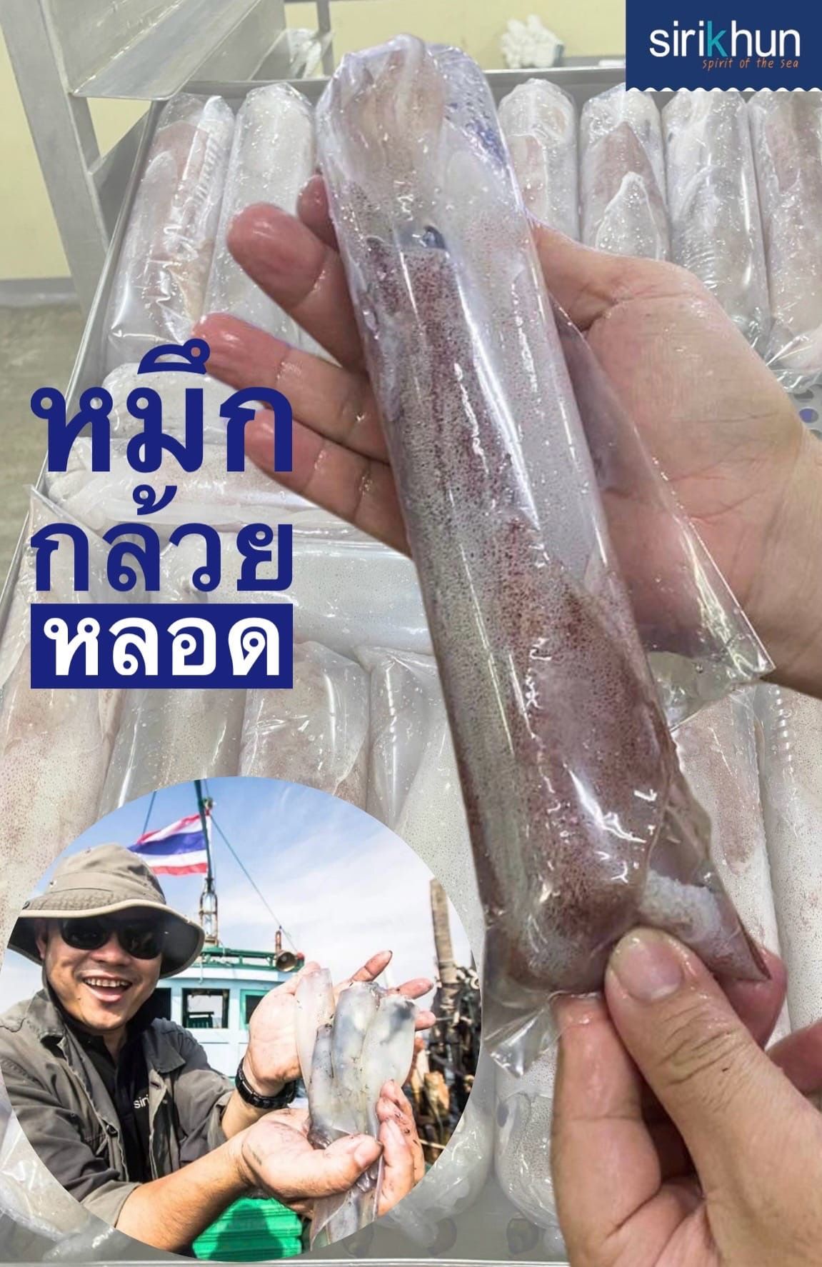 รูปภาพบทความ