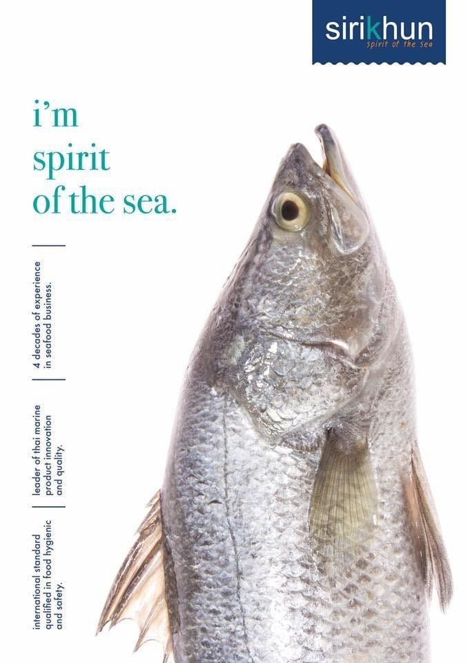 รูปภาพบทความ