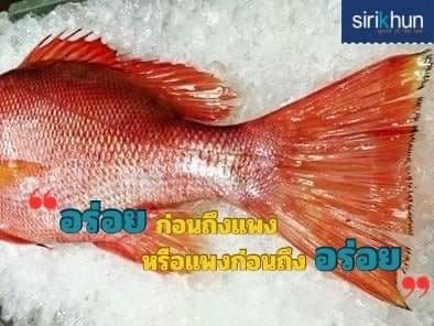 รูปภาพบททความ