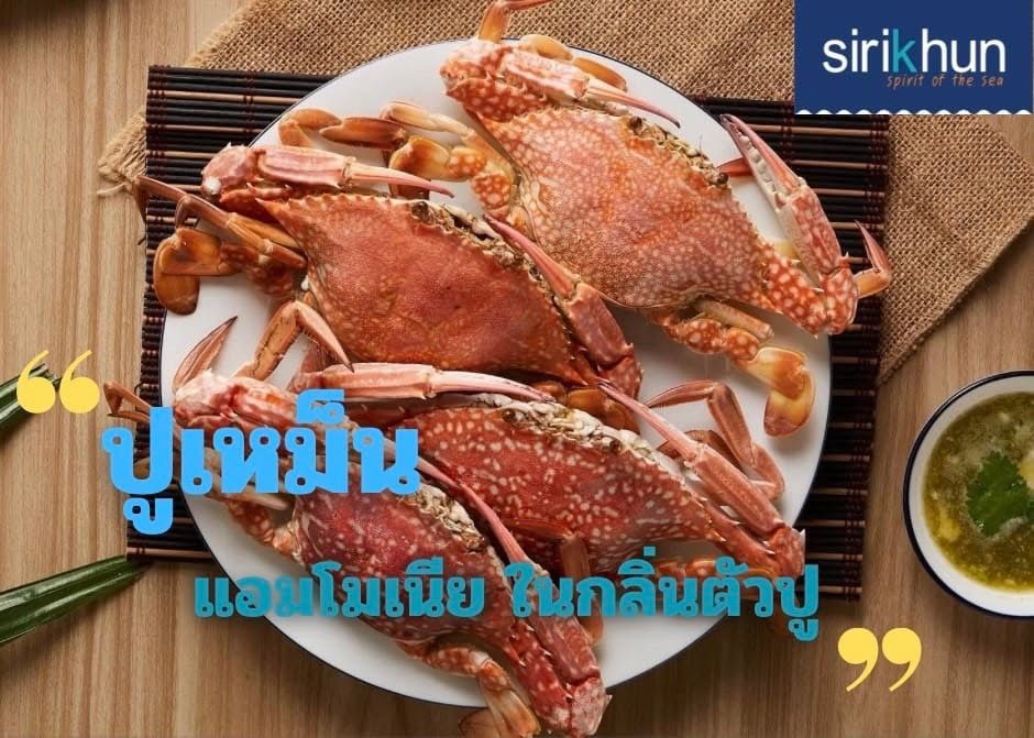 รูปภาพบททความ