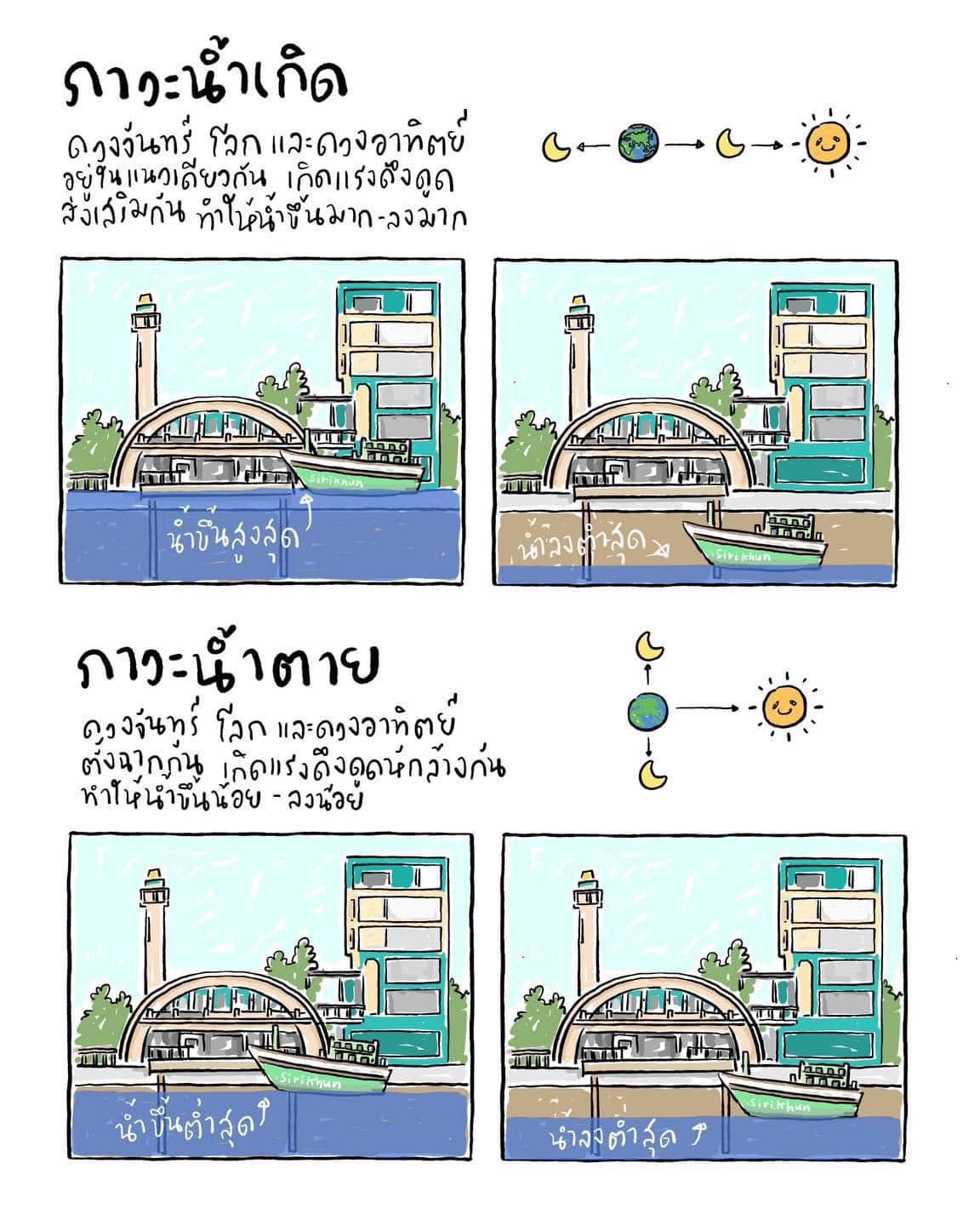 รูปภาพบททความ