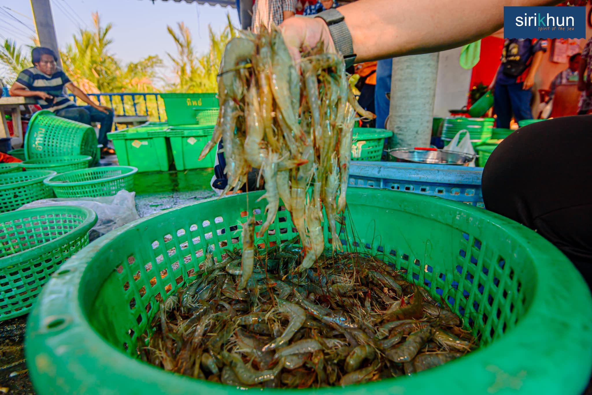 รูปภาพบทความ