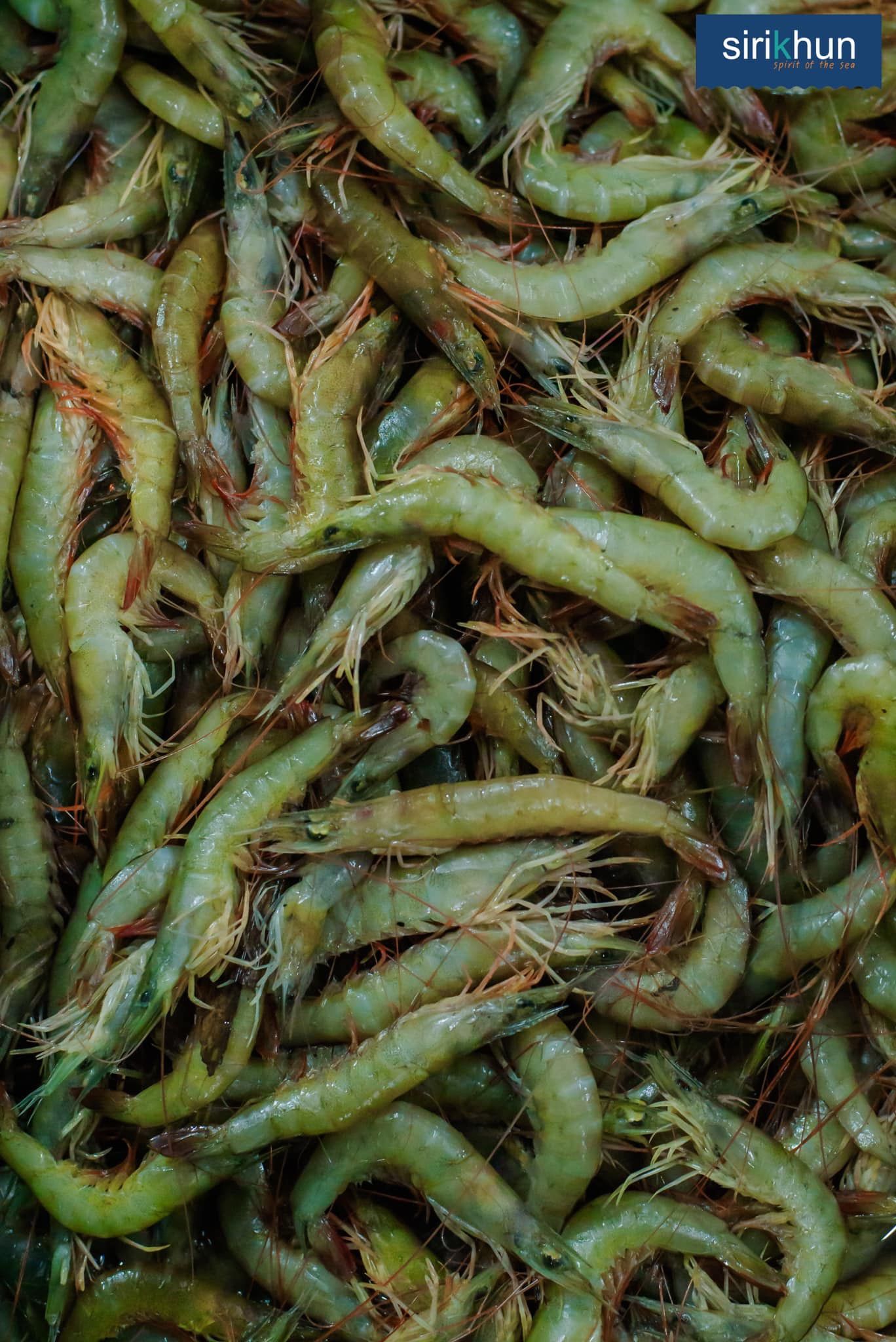 รูปภาพบทความ