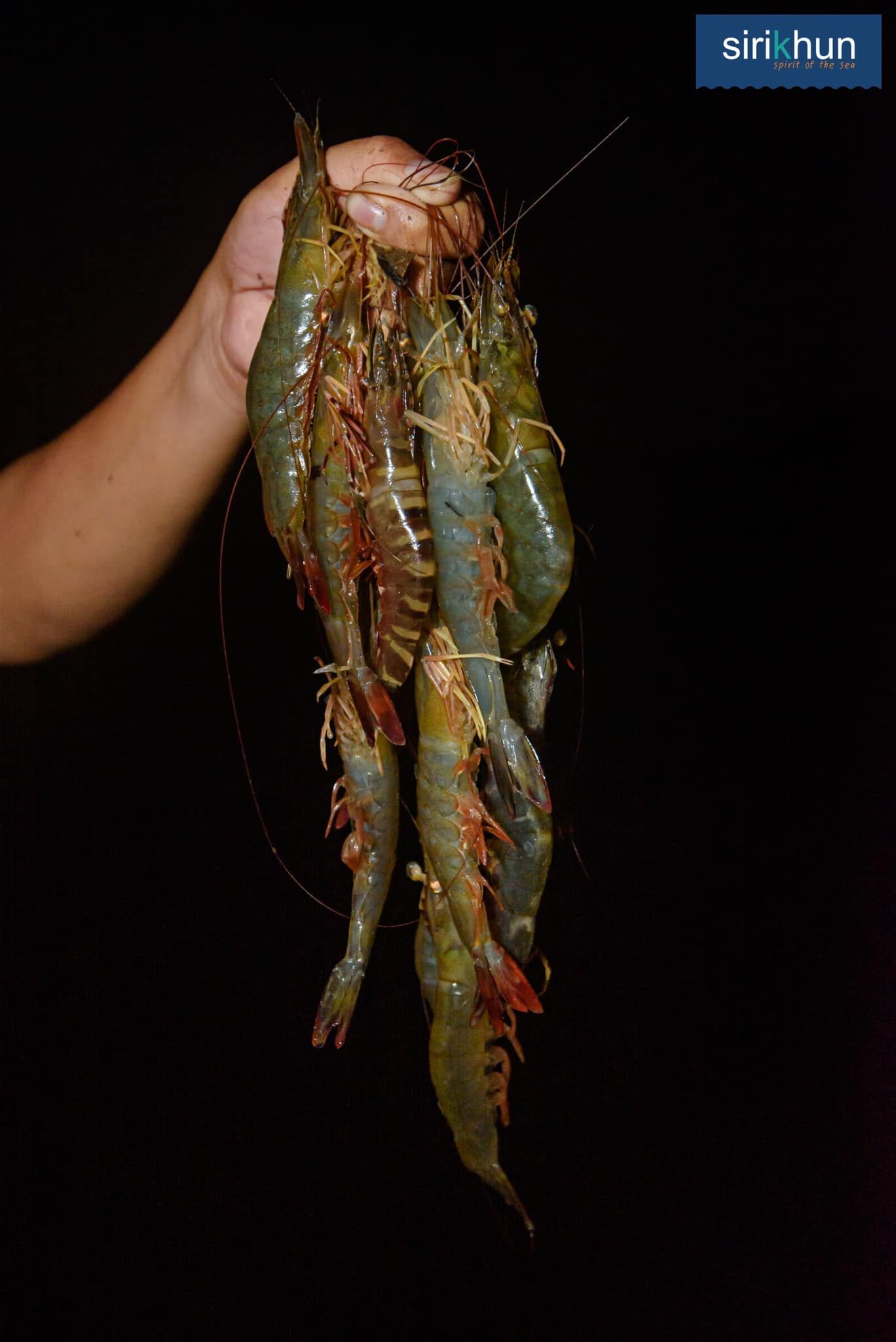 รูปภาพบททความ