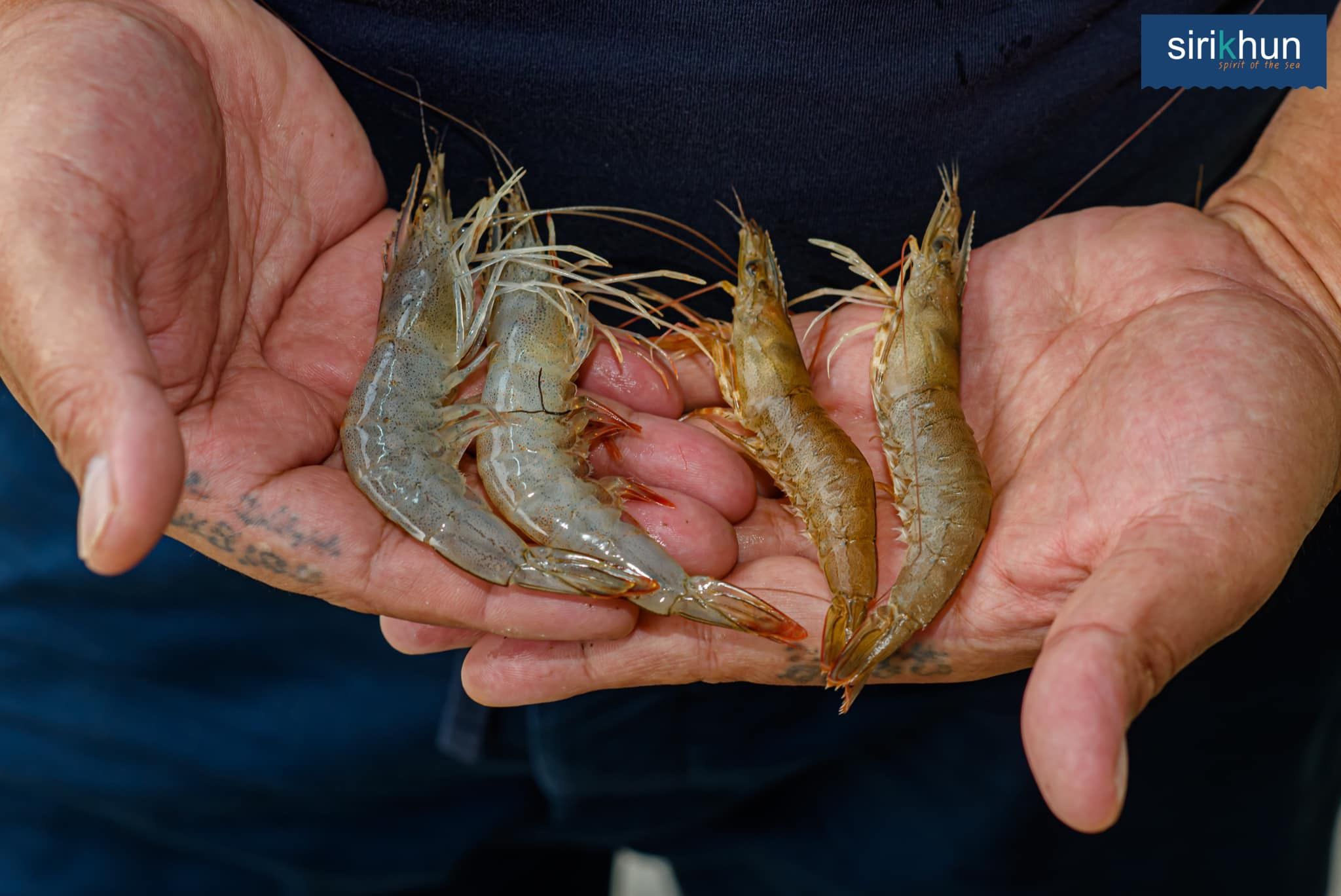 รูปภาพบททความ