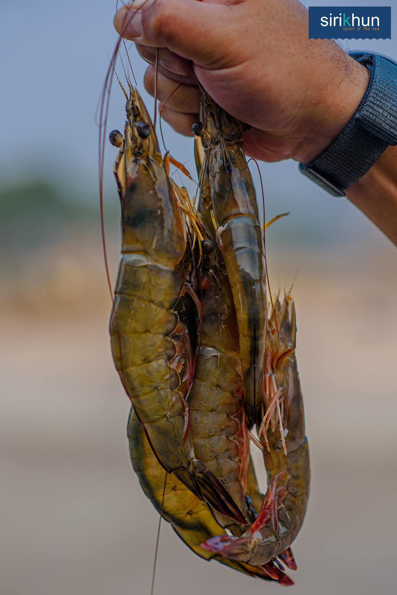 รูปภาพบททความ