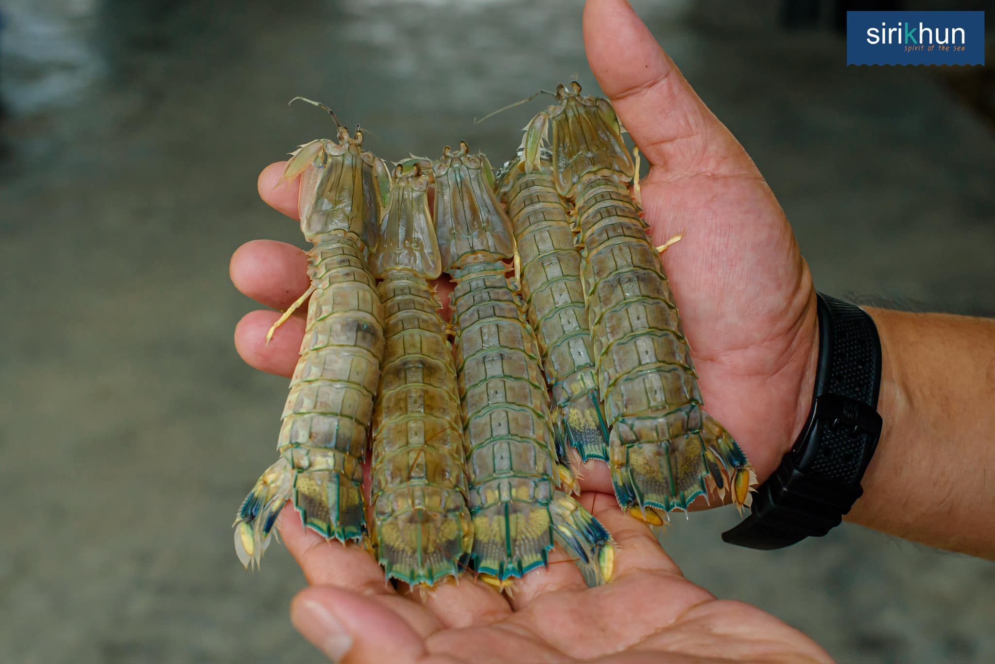 รูปภาพบททความ