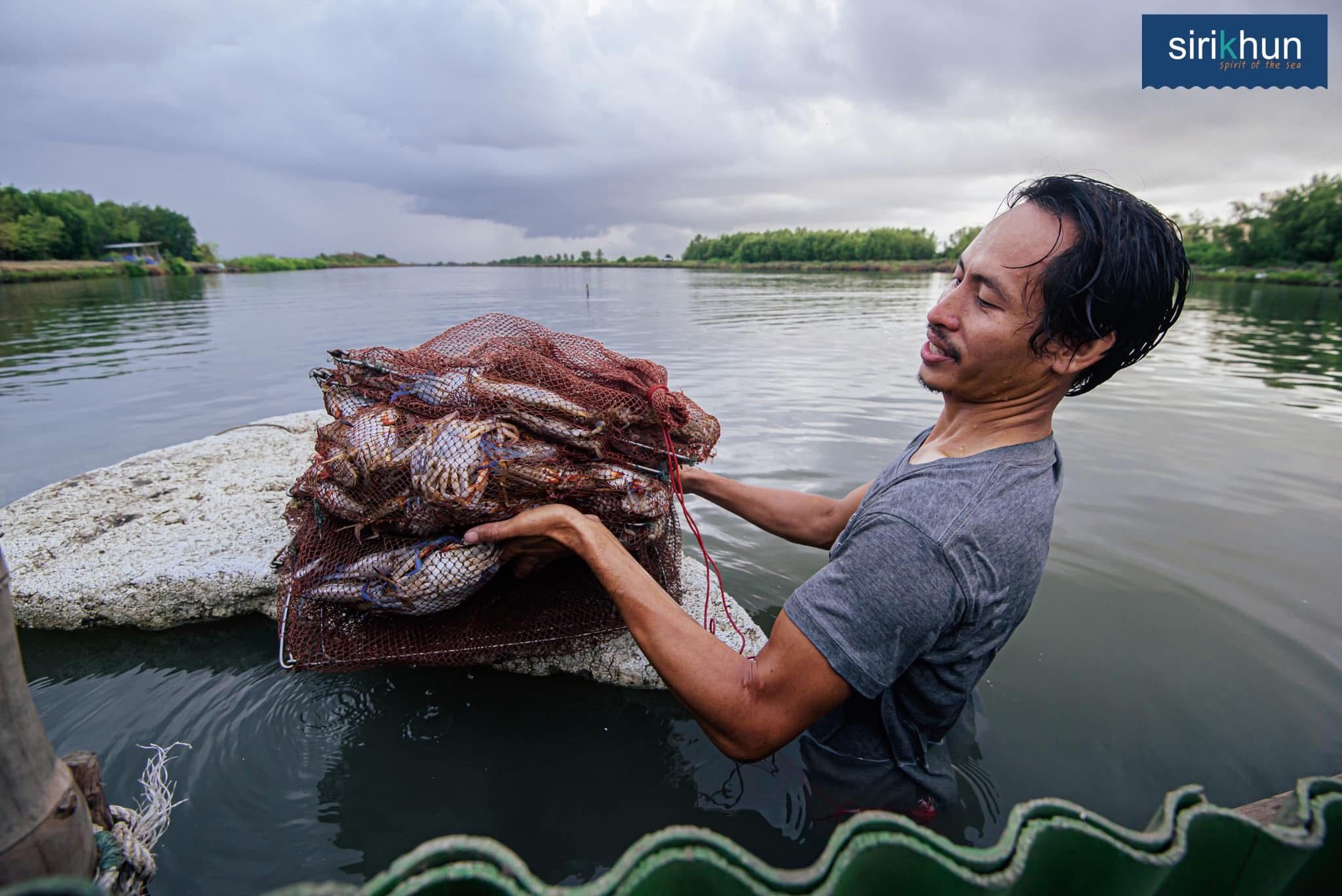 รูปภาพบทความ