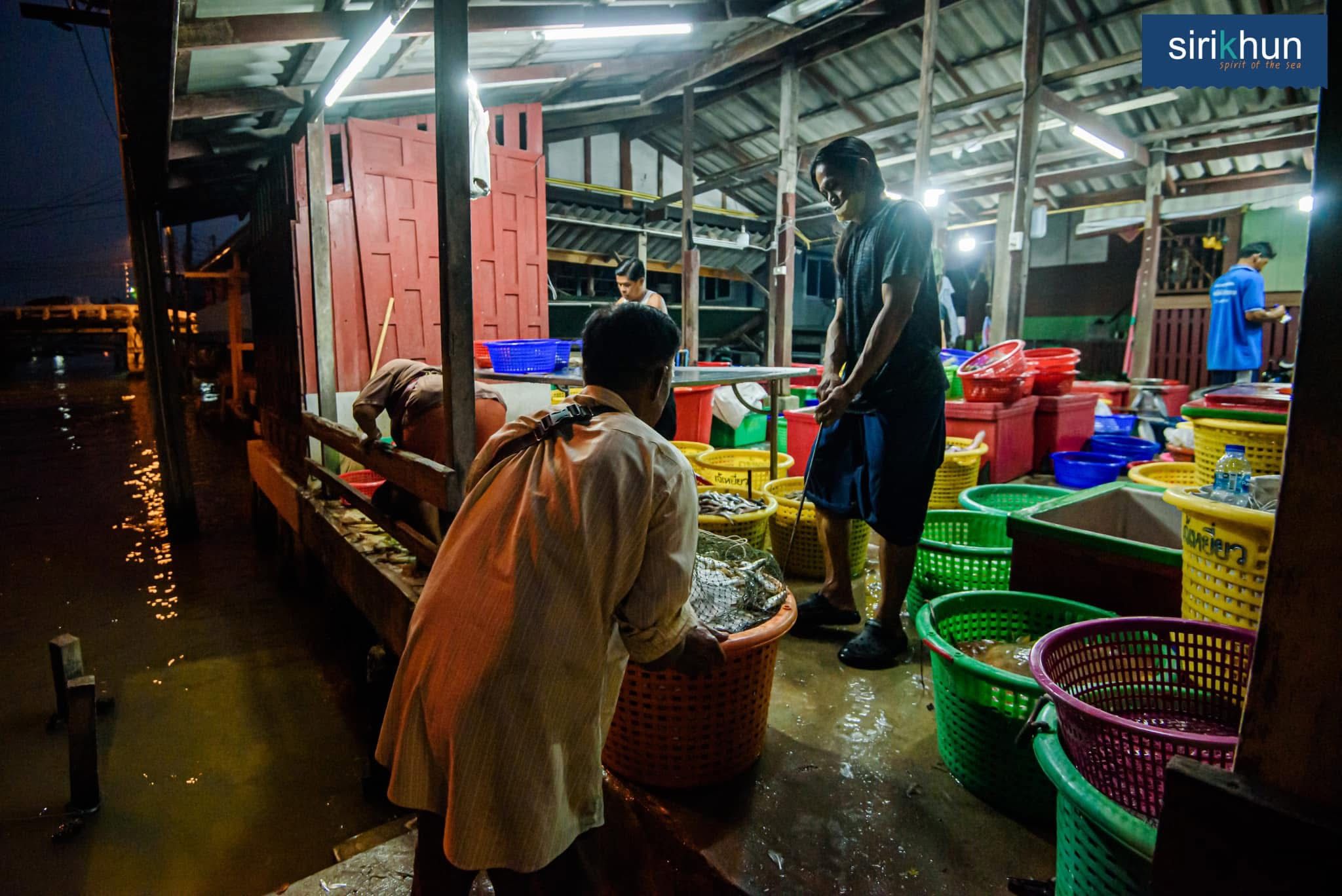 รูปภาพบทความ