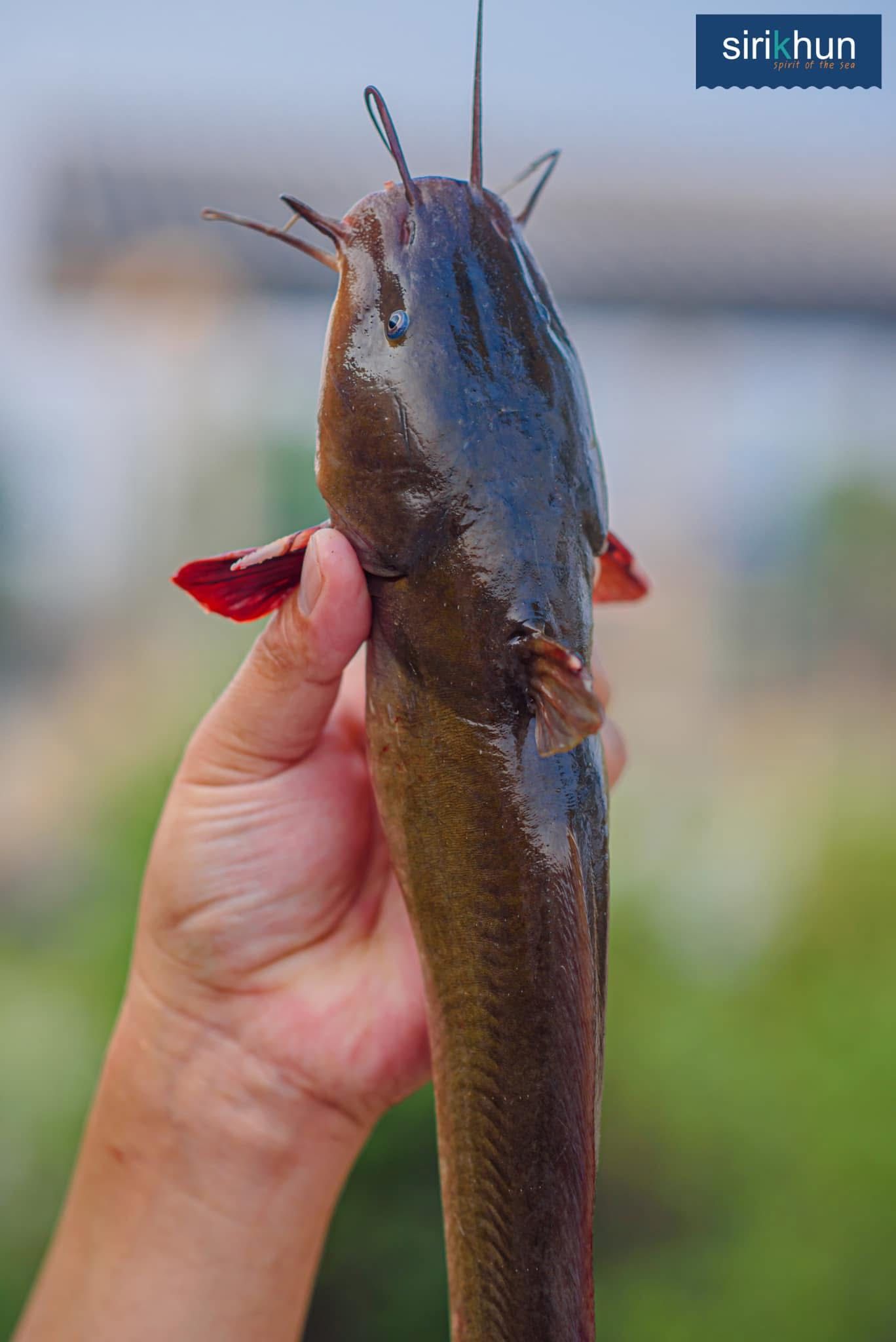 รูปภาพบทความ