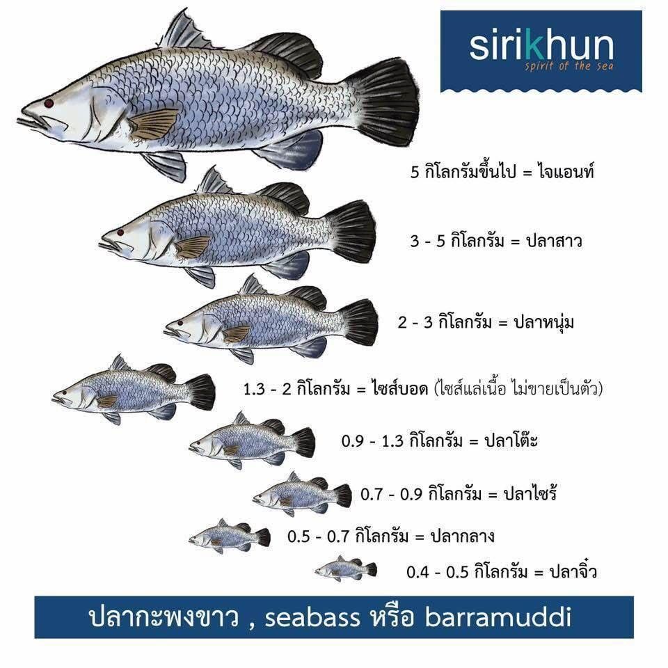 รูปภาพบททความ