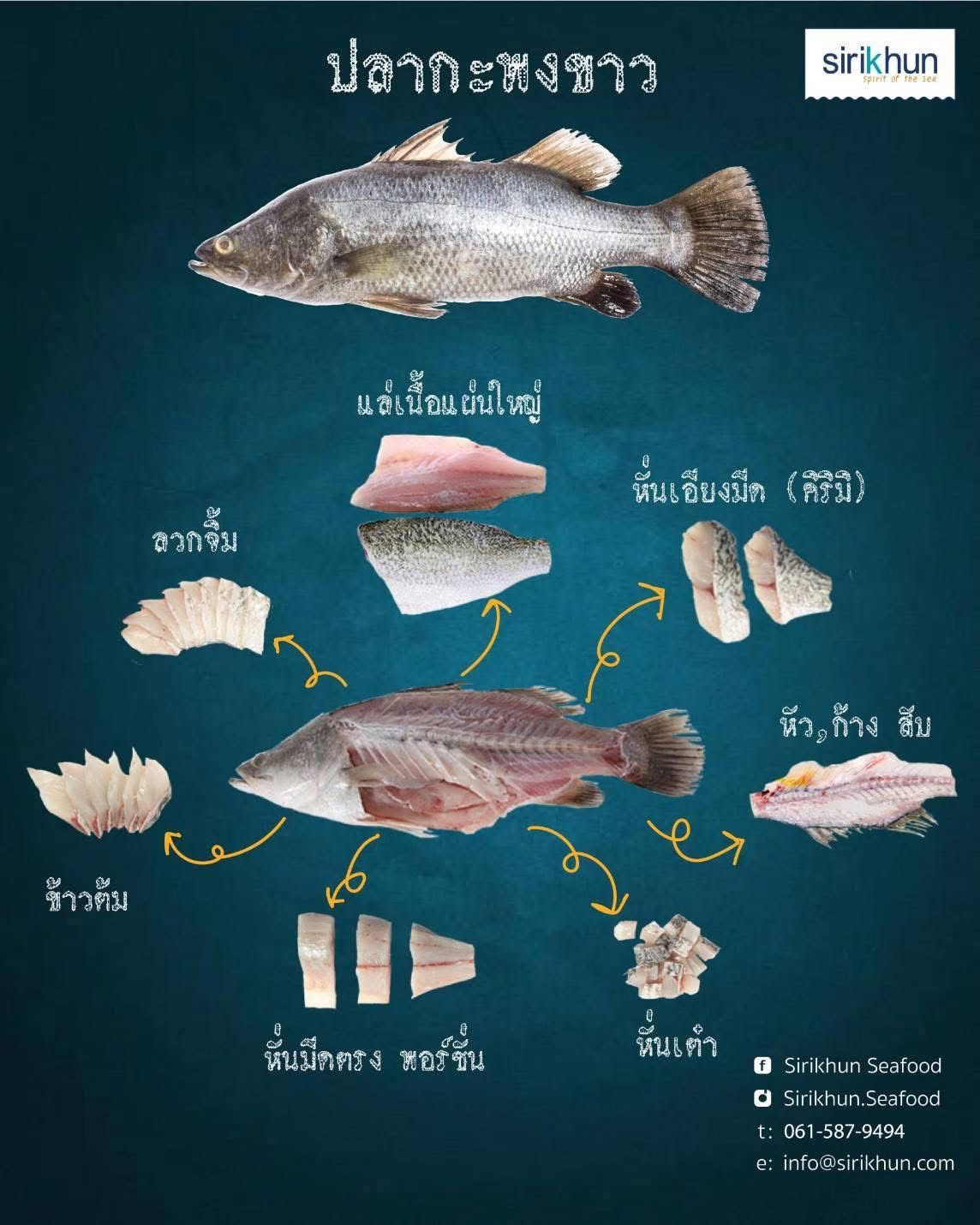 รูปภาพบททความ
