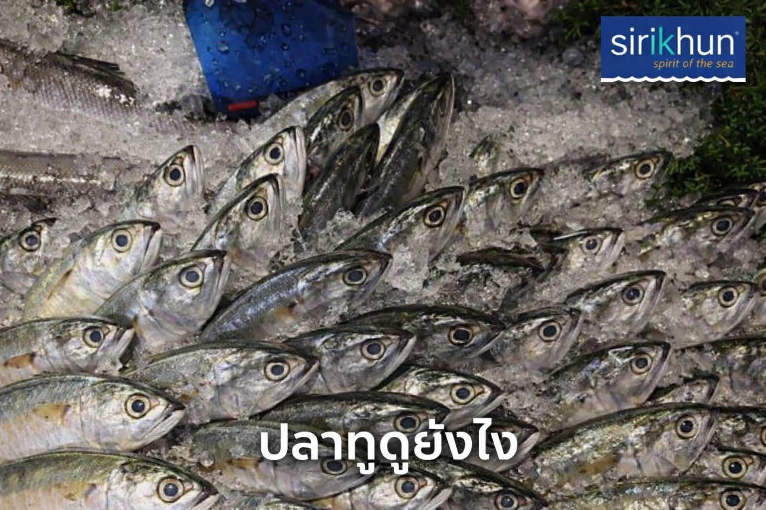 รูปภาพบททความ