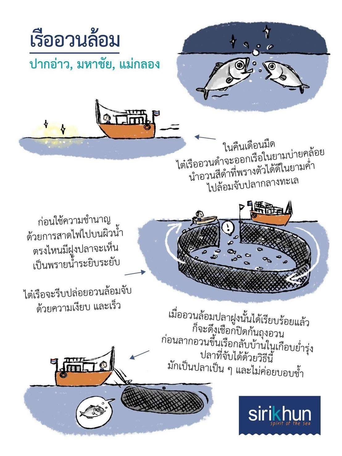 รูปภาพบทความ