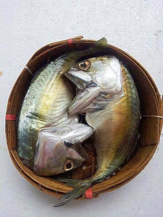 รูปภาพบทความ