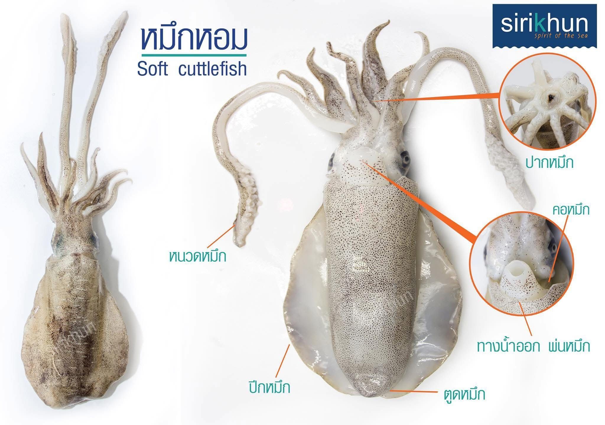 รูปภาพบทความ