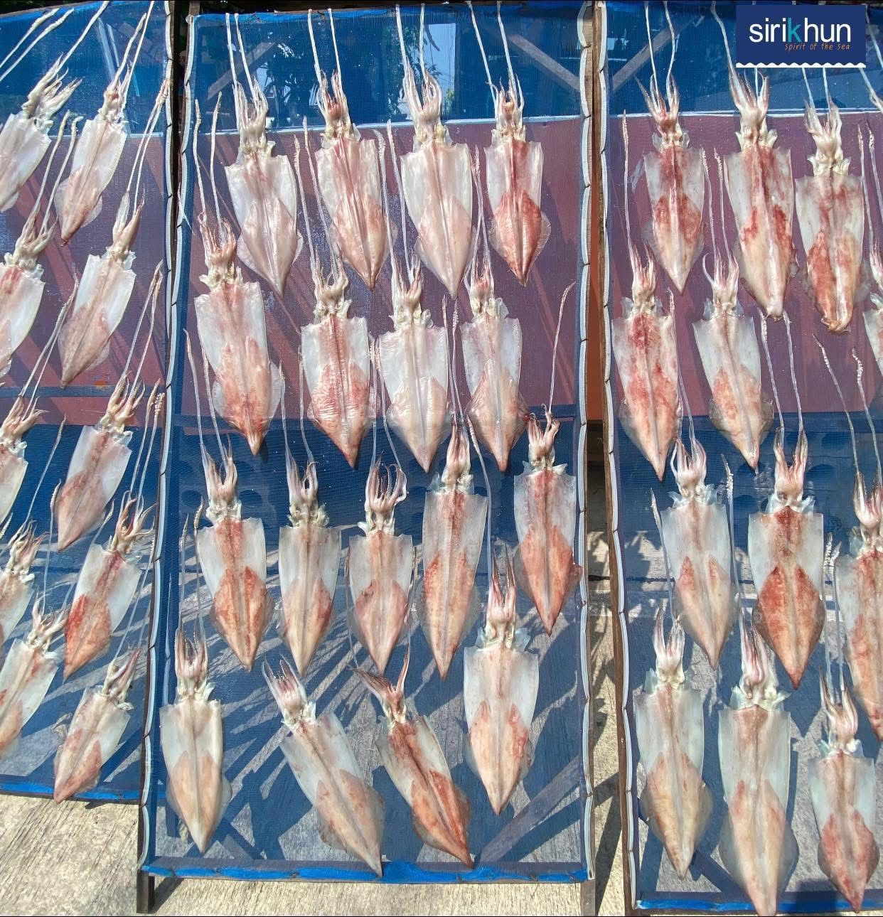 รูปภาพบททความ