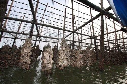 รูปภาพบททความ