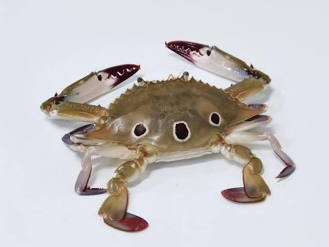 รูปภาพบททความ