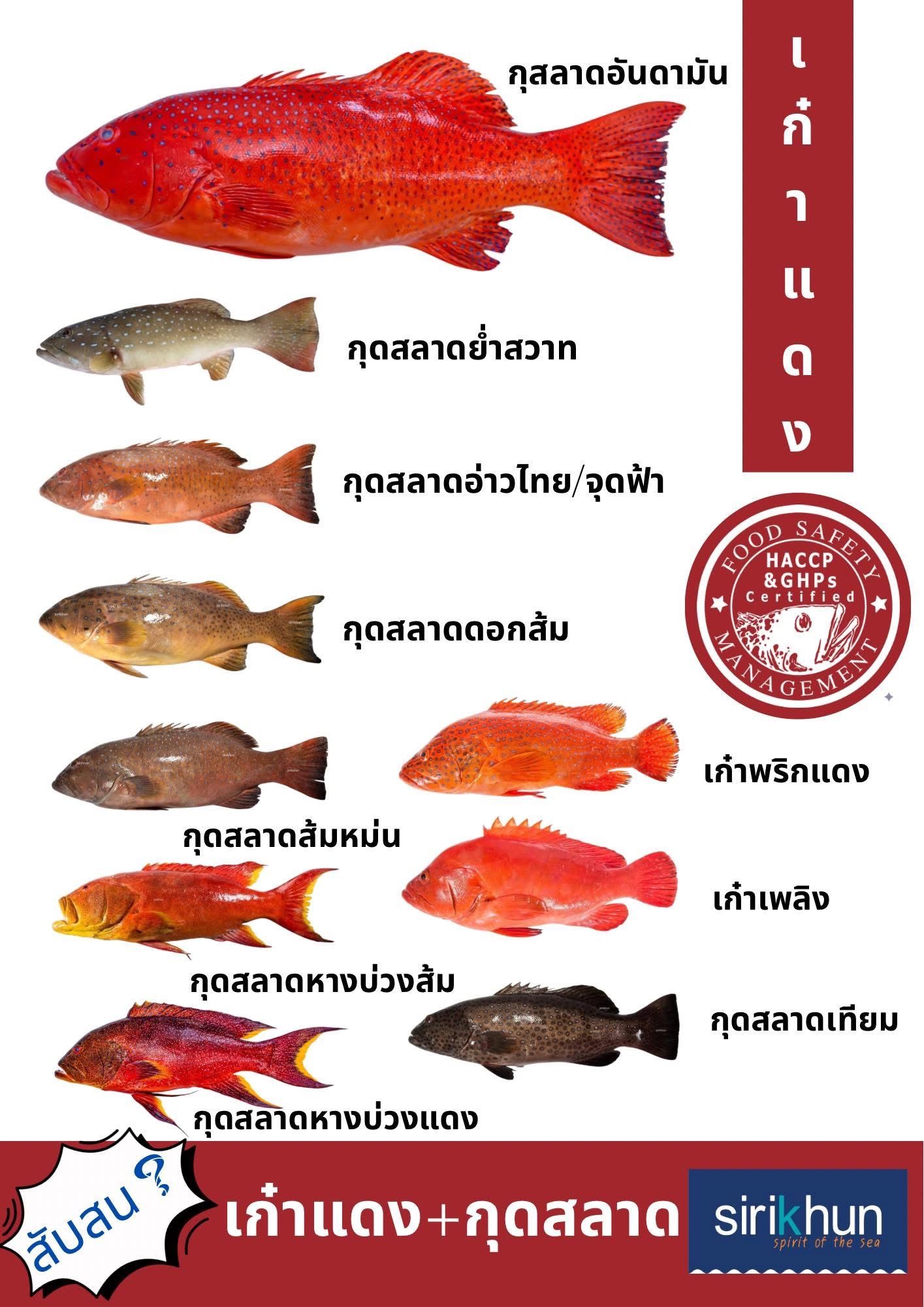 รูปภาพบททความ