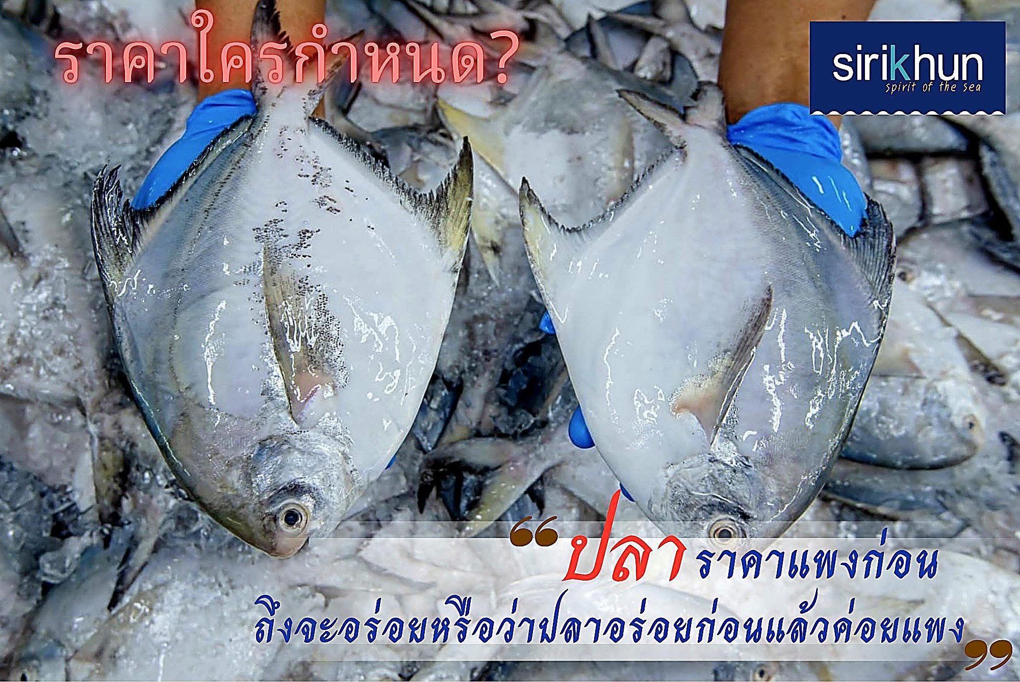 รูปภาพบทความ