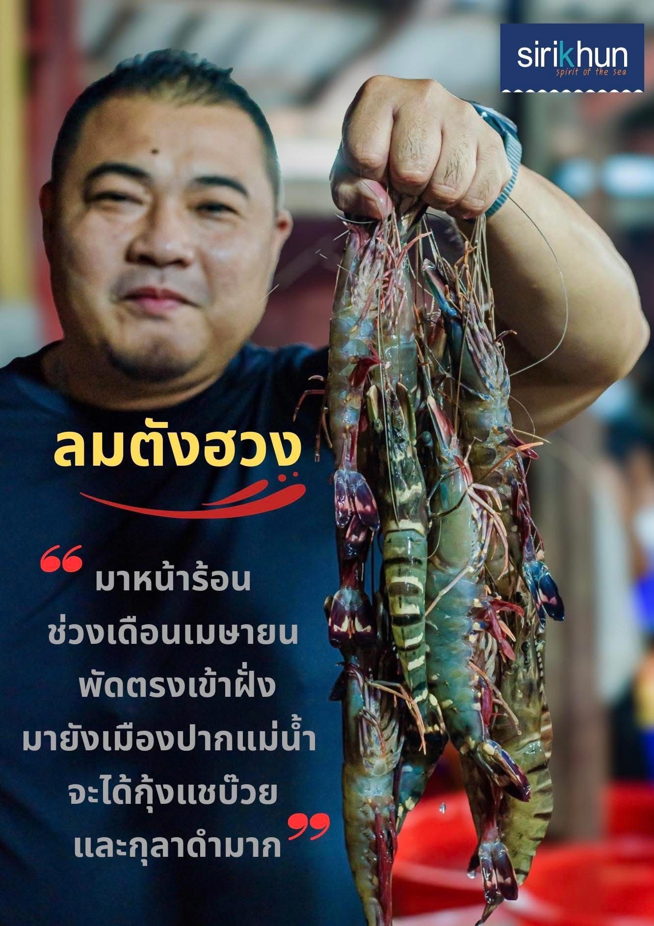 รูปภาพบททความ