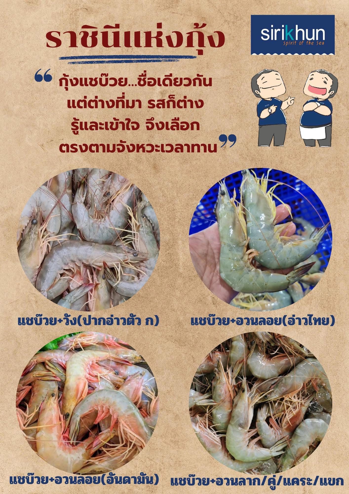 รูปภาพบททความ