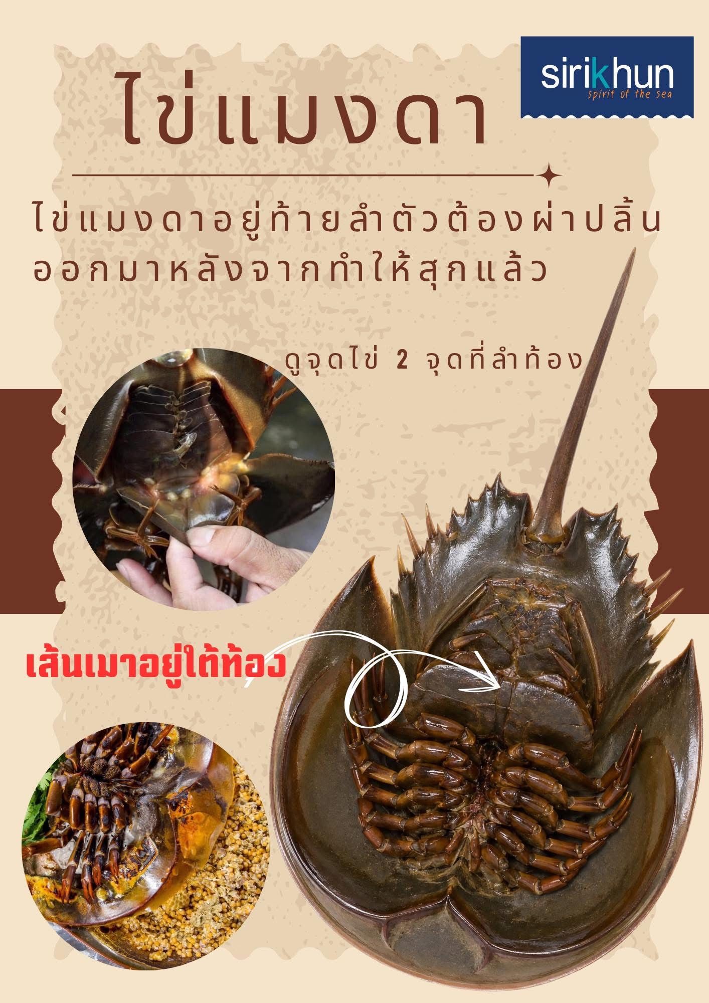 รูปภาพบททความ