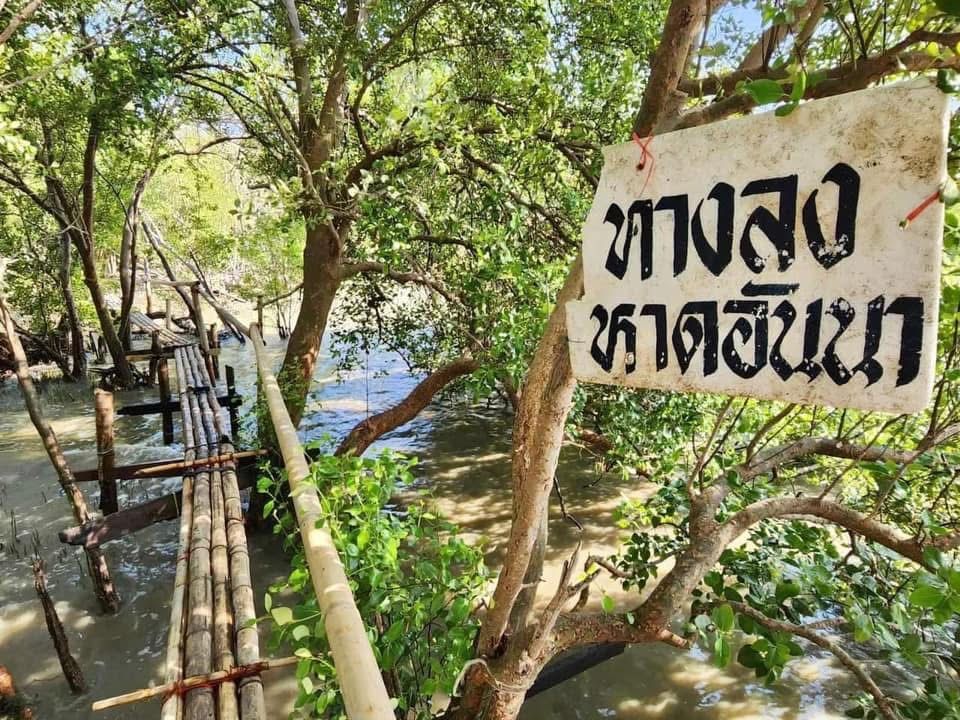 รูปภาพบททความ