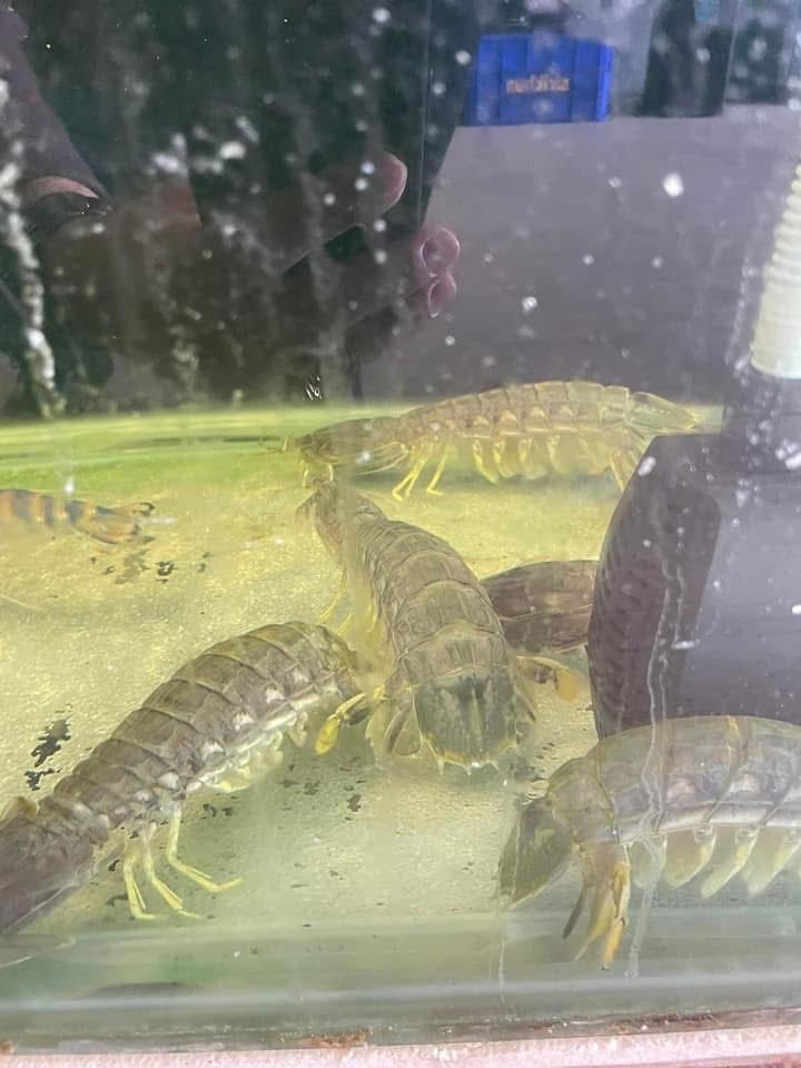 IMG_9710.jpeg