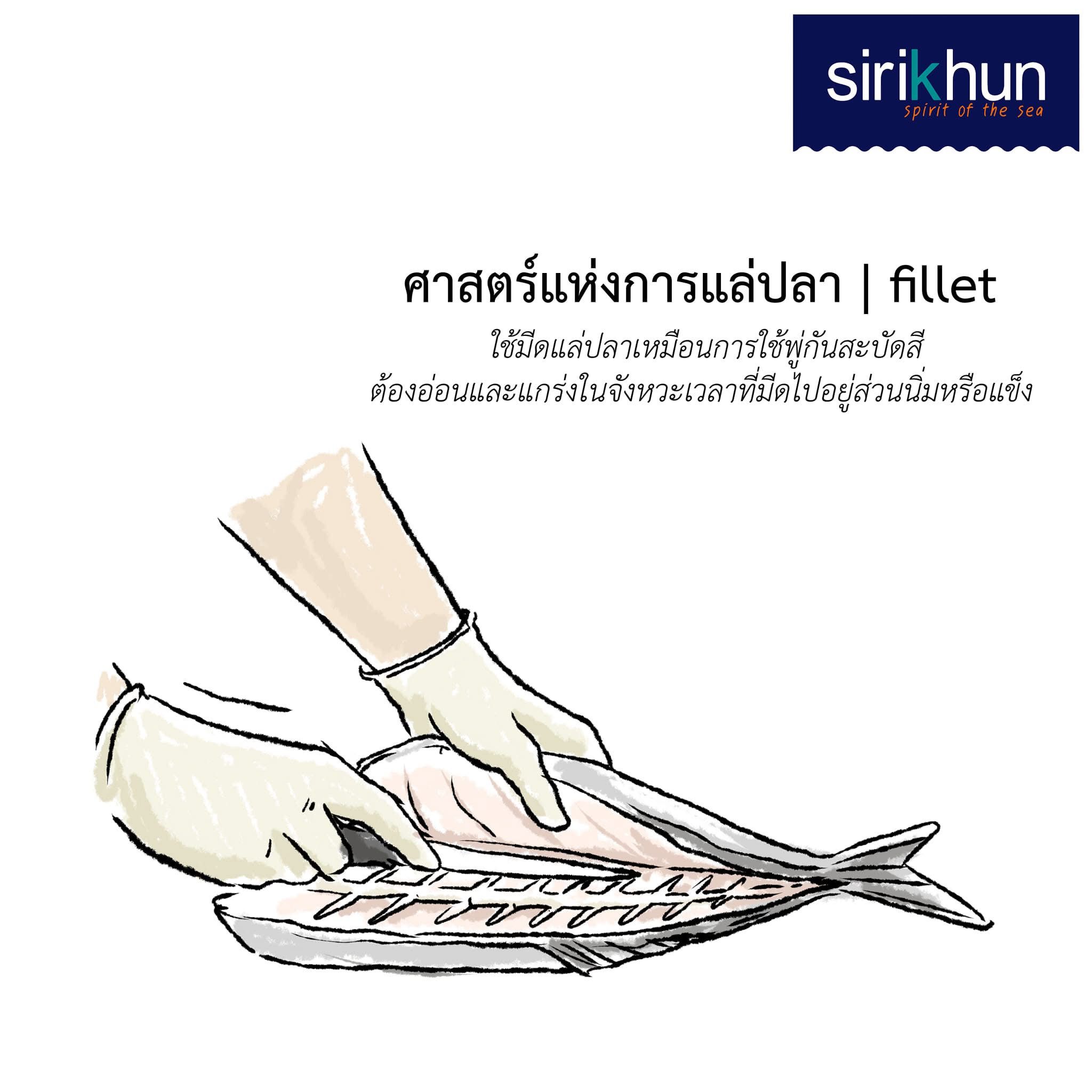 รูปภาพบทความ