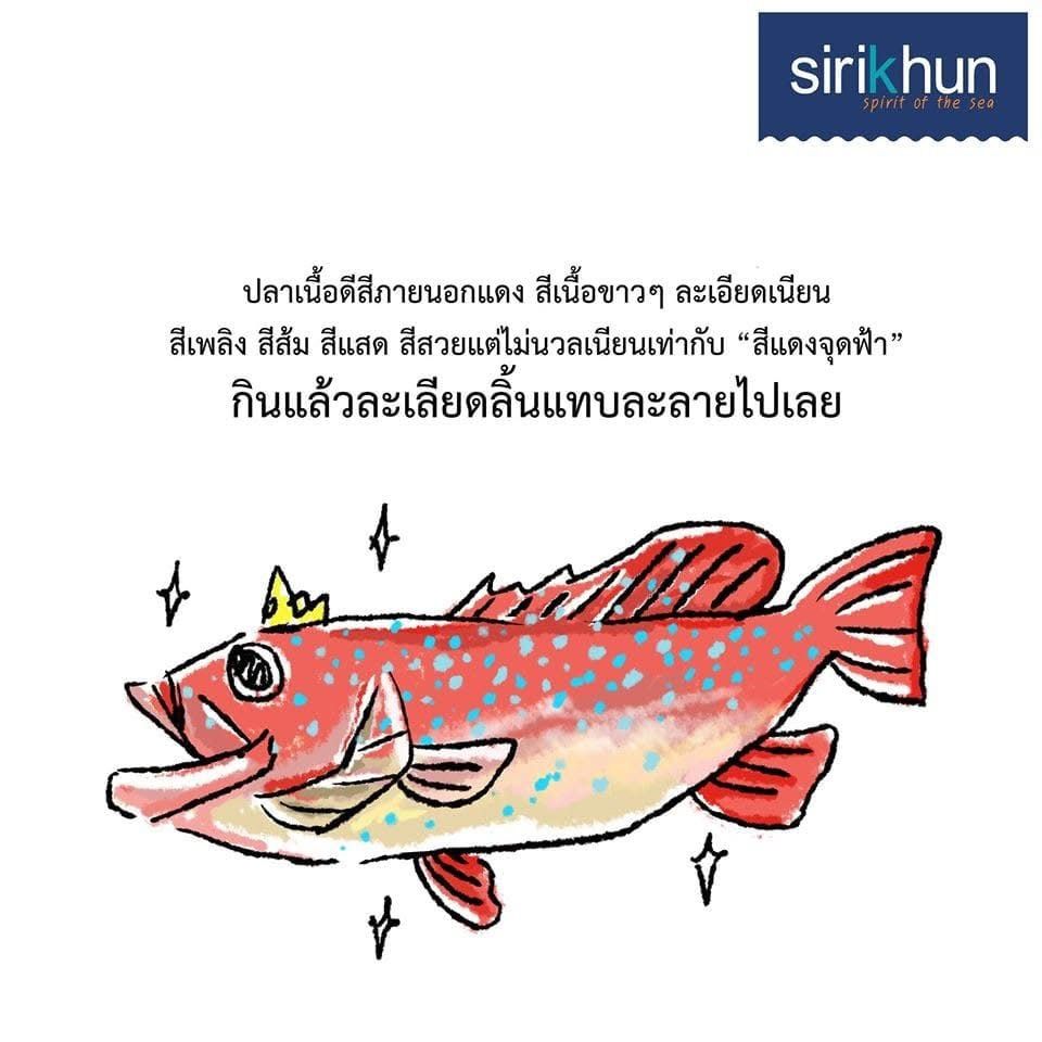 รูปภาพบททความ