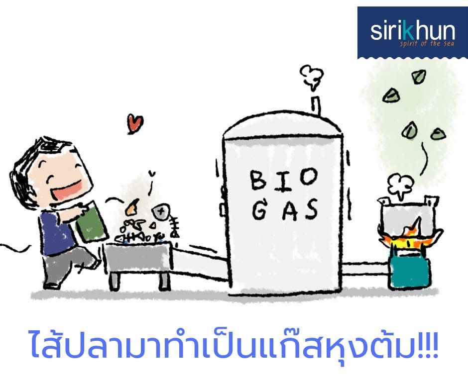 รูปภาพบทความ