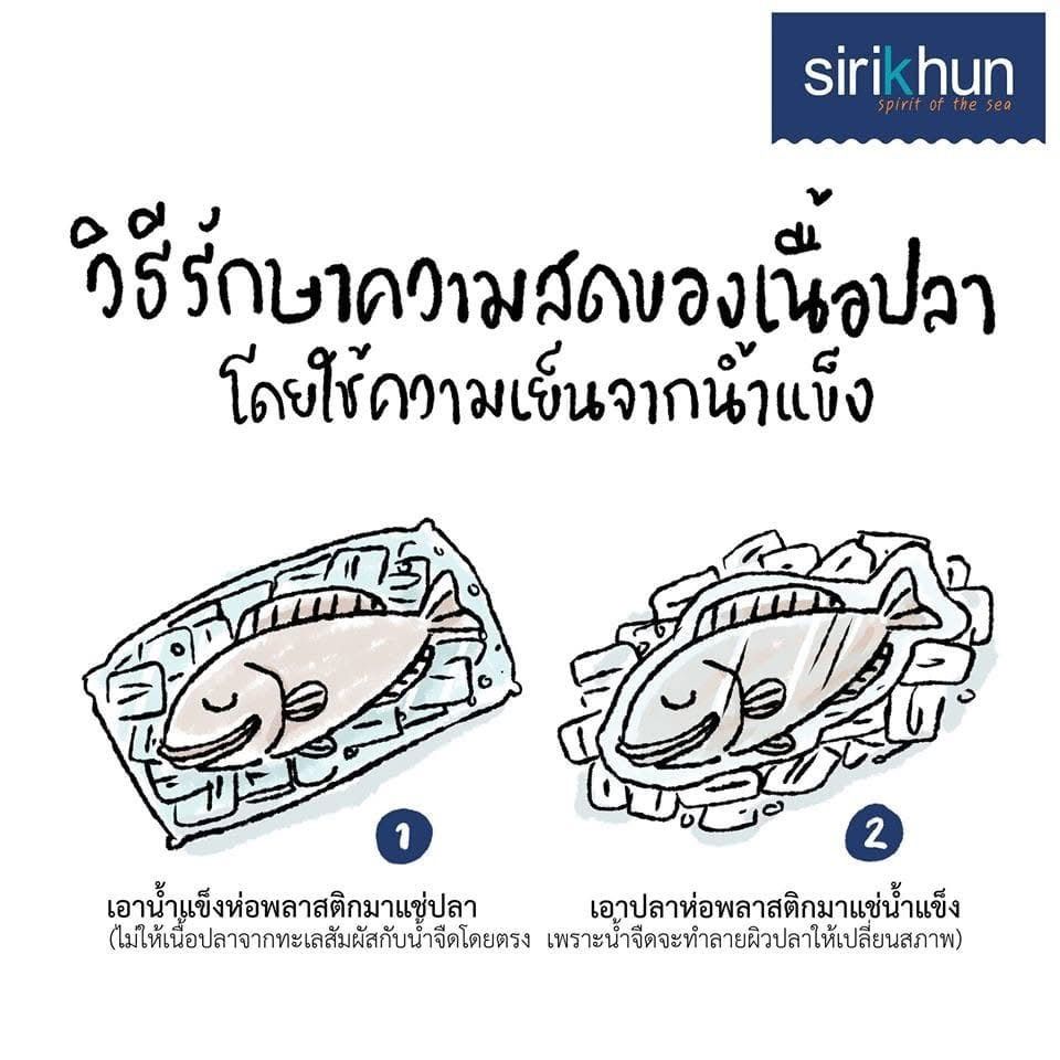 รูปภาพบทความ