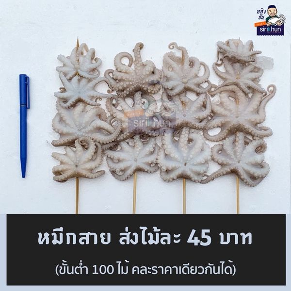 รูปหัวหมึกสายเสียบไม้