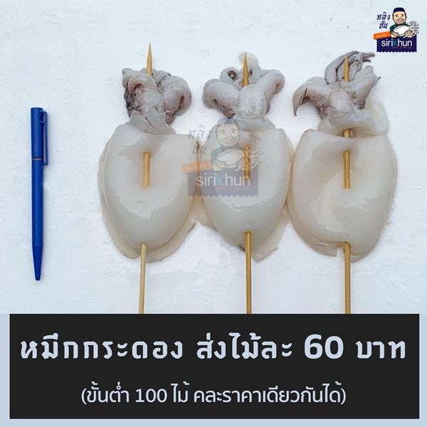 รูปหมึกกระดองเจาะเสียบไม้