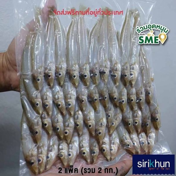 รูปทรายขาว ตต