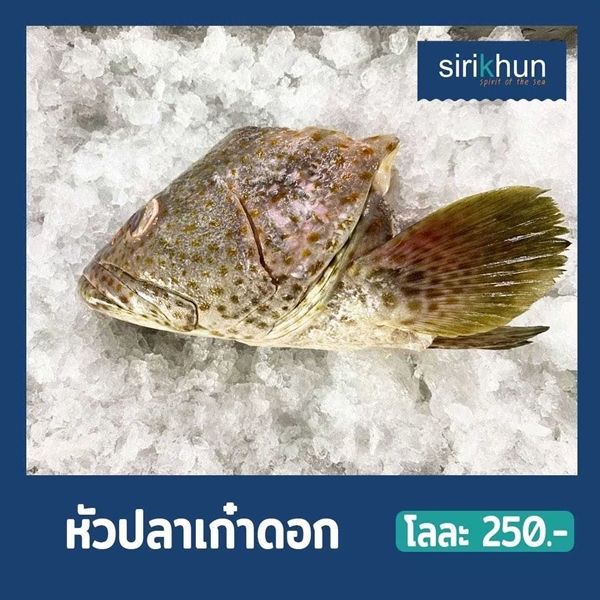 รูปหัวเก๋าดอกแดง