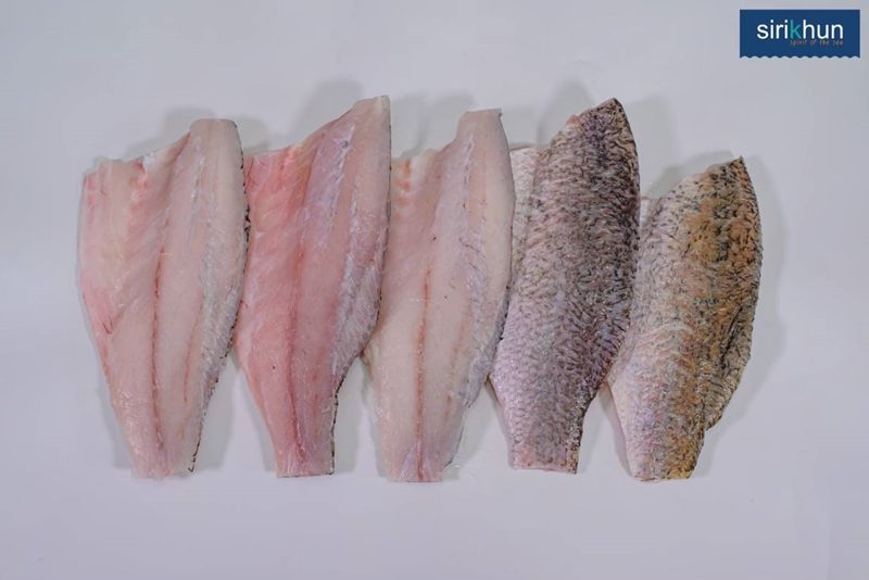 รูปเนื้อกระพง fiillet skin pn 300-400g